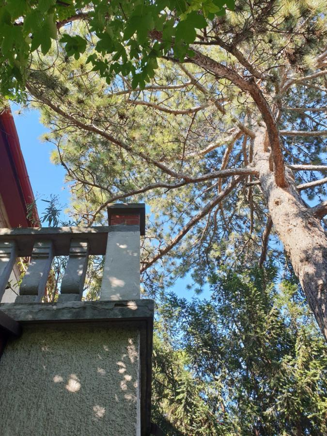 באלאטונפורד Kasza Villa מראה חיצוני תמונה