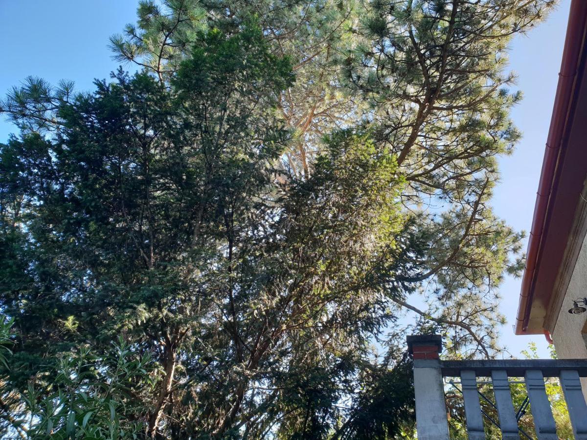 באלאטונפורד Kasza Villa מראה חיצוני תמונה