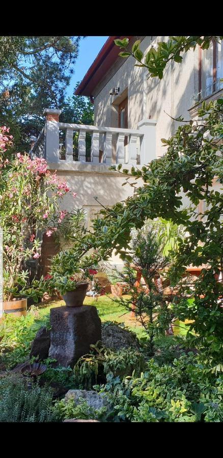 באלאטונפורד Kasza Villa מראה חיצוני תמונה