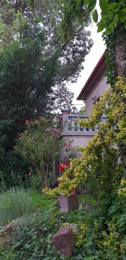 באלאטונפורד Kasza Villa מראה חיצוני תמונה