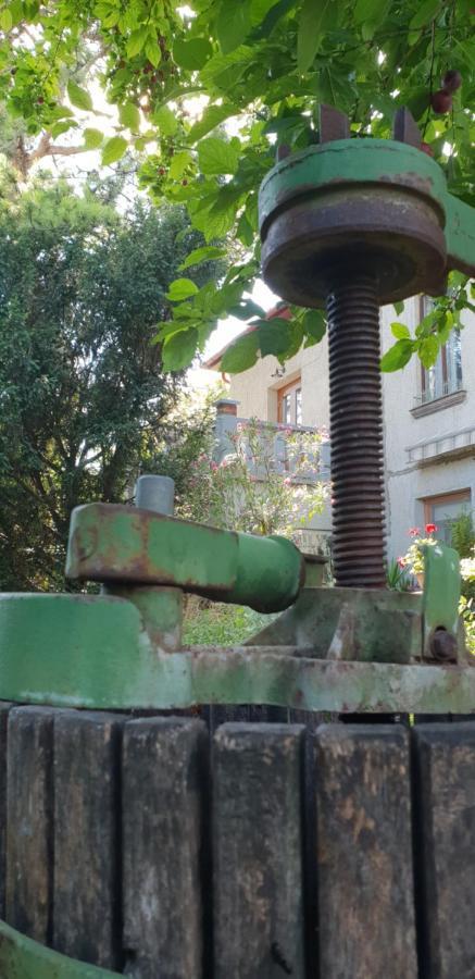 באלאטונפורד Kasza Villa מראה חיצוני תמונה